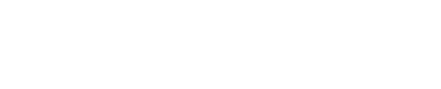 National Association of Parliamentarians one line logo